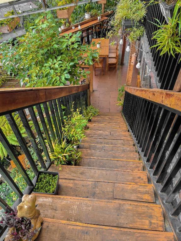 Hotel Hillside Sapa Zewnętrze zdjęcie